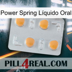 Power Spring Líquido Oral 24